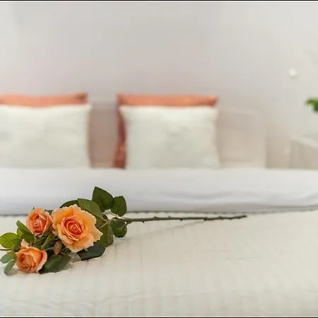 Hotel P&o Grodkowska